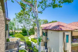 Photo #6: PTP2504359 Listing