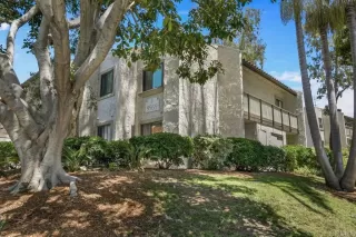 Photo #2: PTP2504471 Listing