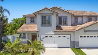 Photo #2: PTP2504508 Listing 