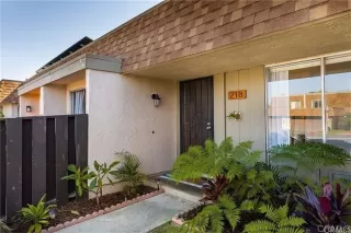 Photo #2: PTP2504550 Listing 