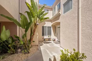 Photo #1: PTP2504609 Listing 