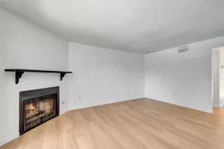 Photo #2: PTP2504746 Listing 