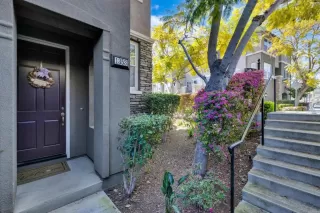Photo #1: PTP2504747 Listing 