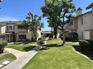 Photo #4: PTP2504814 Listing 