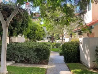 Photo #2: PTP2504830 Listing 