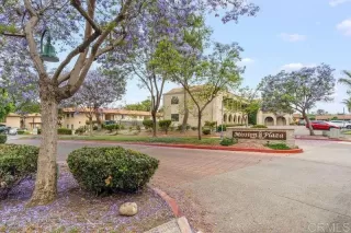 Photo #1: PTP2504846 Listing 