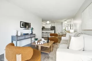 Photo #2: PTP2504963 Listing