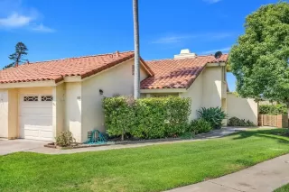 Photo #1: PTP2505053 Listing 