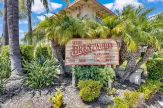 Photo #1: PTP2505129 Listing