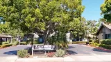 Primary Photo for MLS#: PTP2505477