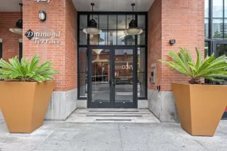 Photo #2: PTP2505507 Listing