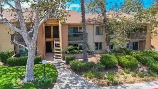 Photo #1: PTP2505549 Listing