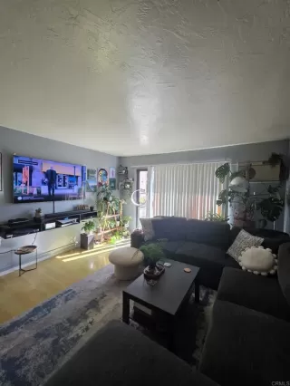 Photo #1: PTP2505588 Listing