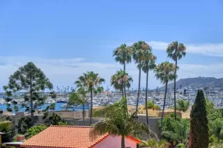 Photo #3: PTP2505725 Listing 