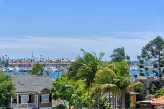 Photo #4: PTP2505725 Listing 