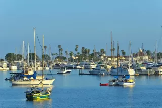 Photo #5: PTP2505725 Listing 