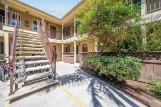 Primary Photo for MLS#: PTP2505752