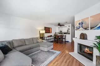 Primary Photo for MLS#: PTP2505994