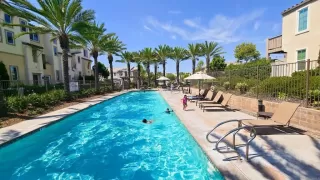 Photo #2: PTP2506040 Listing 