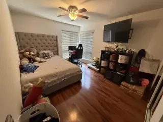 Photo #4: PTP2506114 Listing