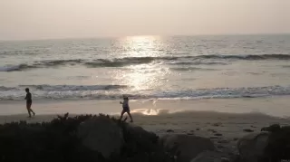 Photo #2: PTP2506274 Listing 