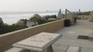 Photo #3: PTP2506274 Listing 