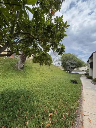 Photo #3: PTP2506482 Listing 