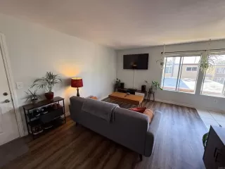 Photo #4: PTP2506588 Listing 