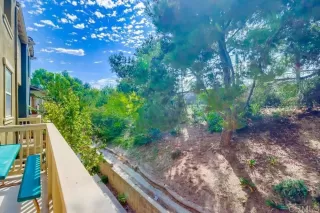 Photo #4: PTP2506660 Listing