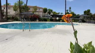 Photo #5: PTP2506670 Listing