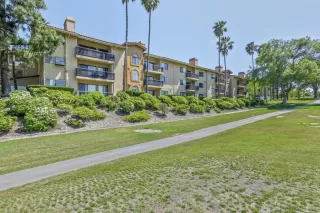 Photo #2: PTP2506734 Listing