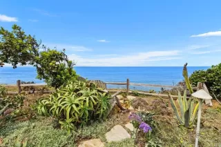 Photo #1: PTP2506749 Listing