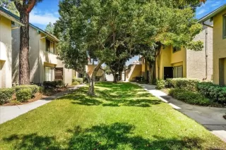 Photo #1: PTP2506834 Listing