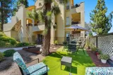 Primary Photo for MLS#: PTP2506962