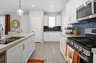 Photo #1: PTP2507221 Listing