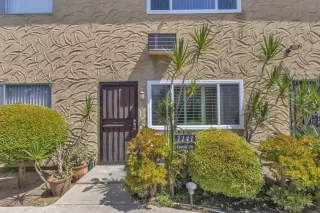 More Details about MLS # PTP2507249 : 1141 EMERALD AVE