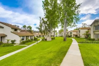 Photo #3: PTP2507381 Listing