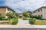 Primary Photo for MLS#: PTP2507391