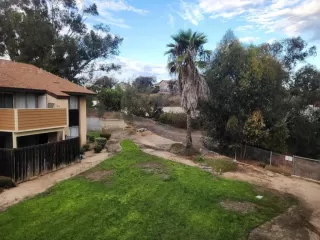 Photo #2: PTP2507523 Listing 