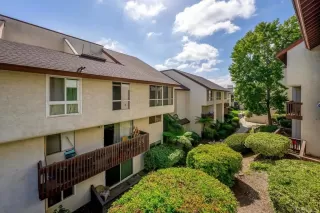 Photo #2: PTP2507658 Listing