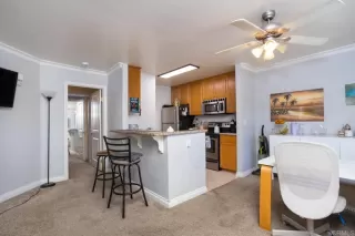 Primary Photo for MLS#: PTP2507793