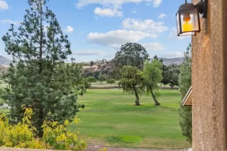 Photo #1: PTP2507871 Listing 