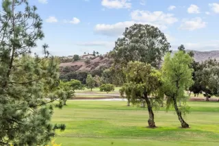 Photo #3: PTP2507871 Listing 