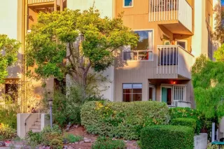 Photo #1: PTP2508024 Listing 