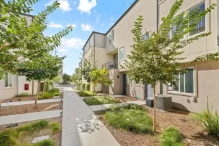 Photo #1: PTP2508153 Listing