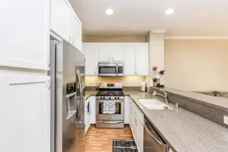 Primary Photo for MLS#: PTP2508253