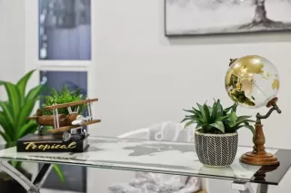 Photo #1: PTP2508319 Listing