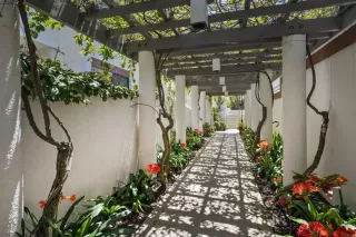 Photo #3: PTP2508422 Listing