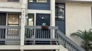 Primary Photo for MLS#: PTP2508532