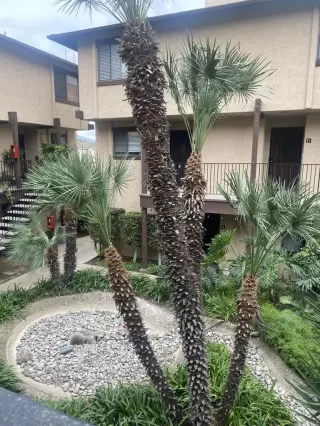 Photo #3: PTP2508603 Listing